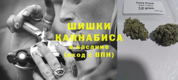 MESCALINE Каменка