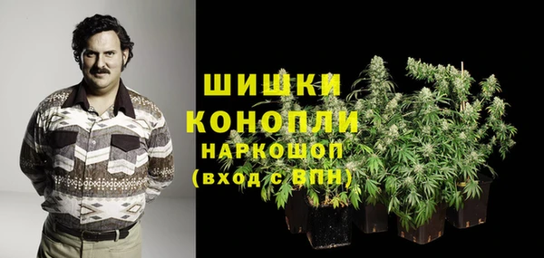 MESCALINE Каменка