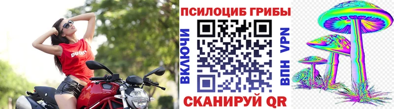 Купить закладки  Ивантеевка  Галлюциногенные грибы Magic Shrooms 